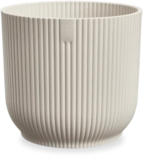 Vibes (30cm)