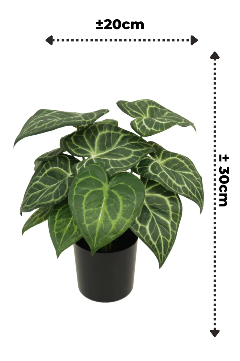 Syngonium Kunstpflanze 30cm