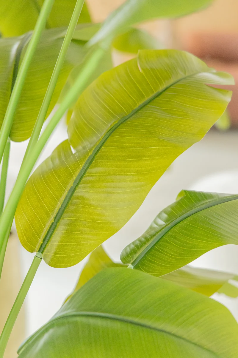 Strelitzia Kunstpflanze 210cm