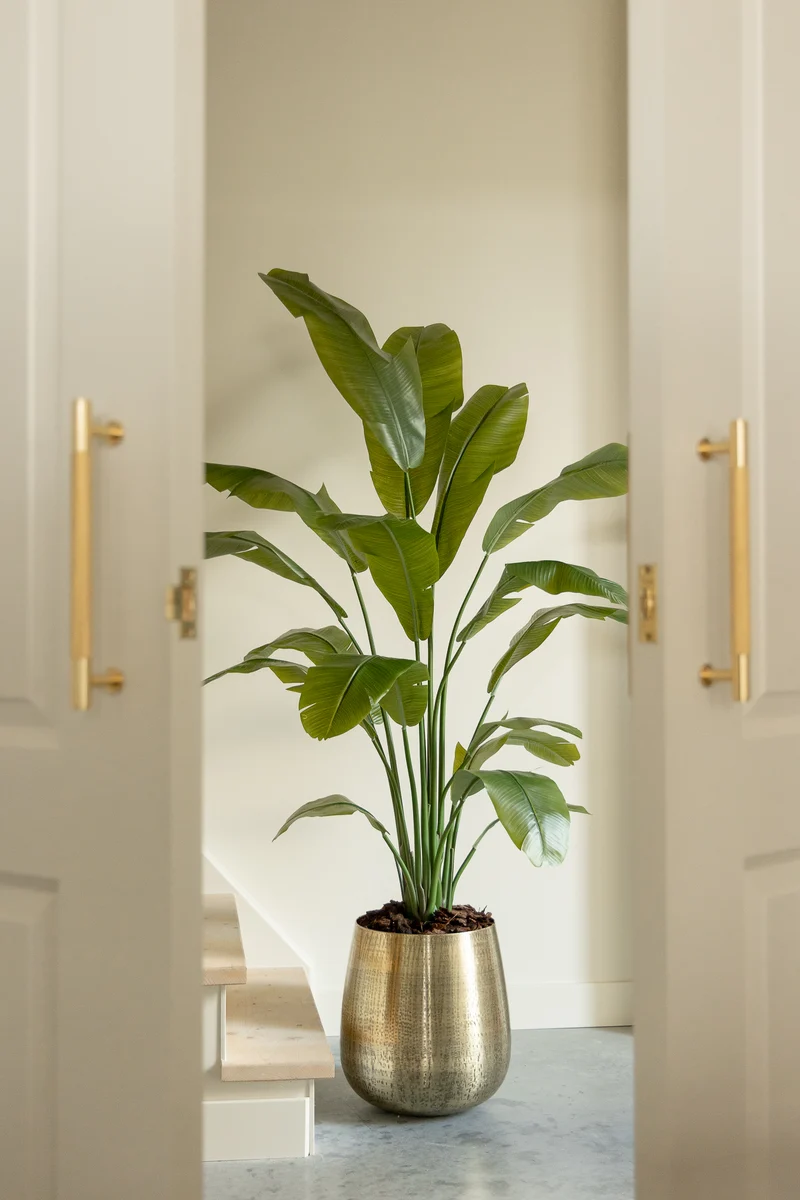 Strelitzia Kunstpflanze 180cm