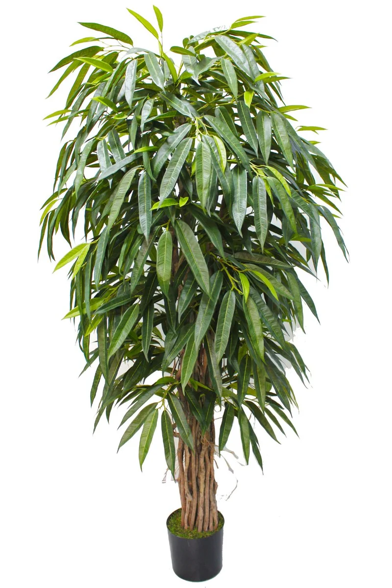 Longifolia Kunstpflanze 180 cm