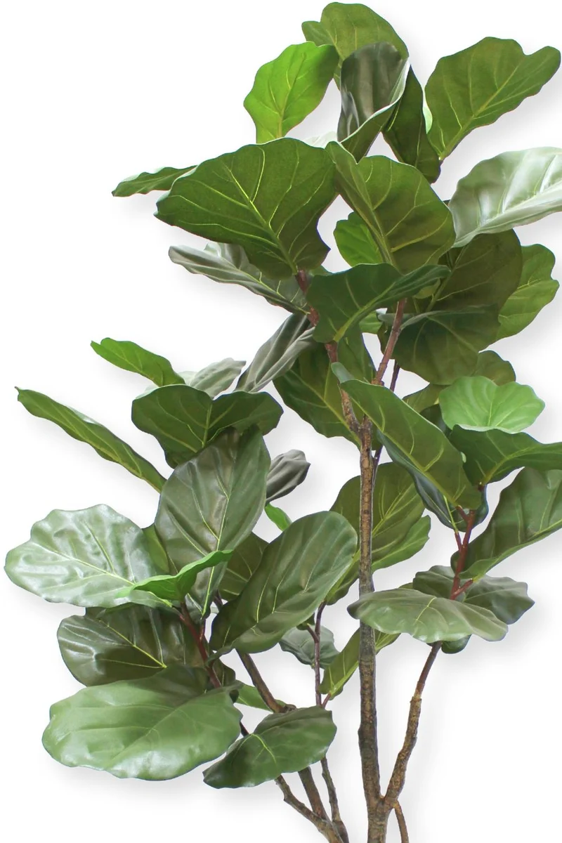 Ficus Lyrata Kunstpflanze 180cm