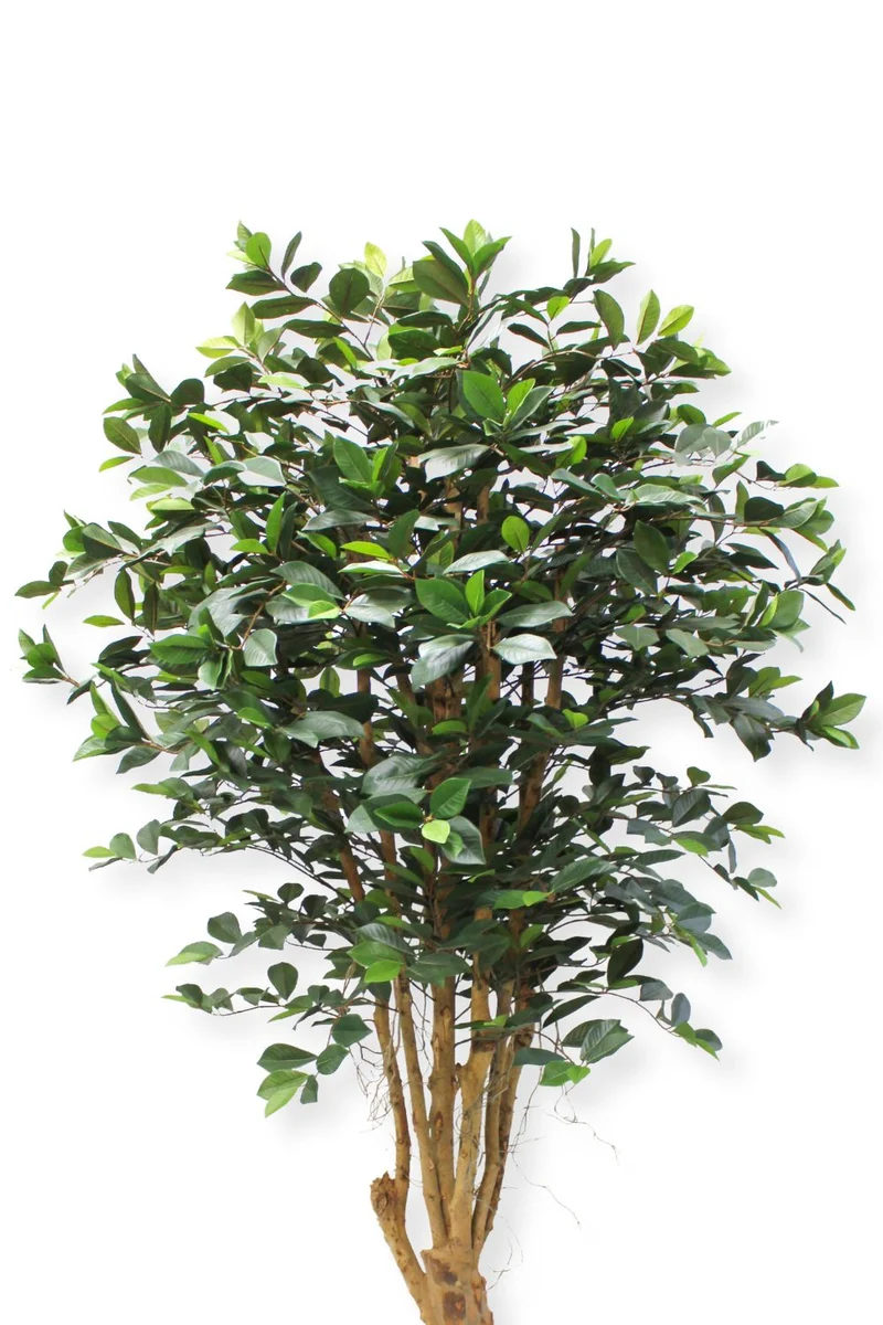 Ficus Kunstpflanze 180cm