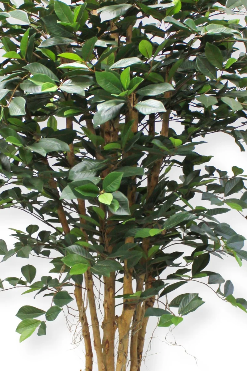 Ficus Kunstpflanze 180cm