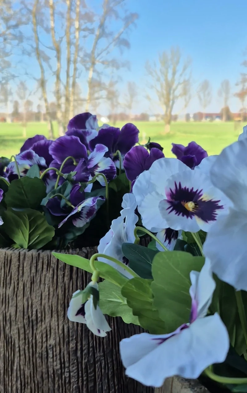 Kunstviool paars met wit hartje
