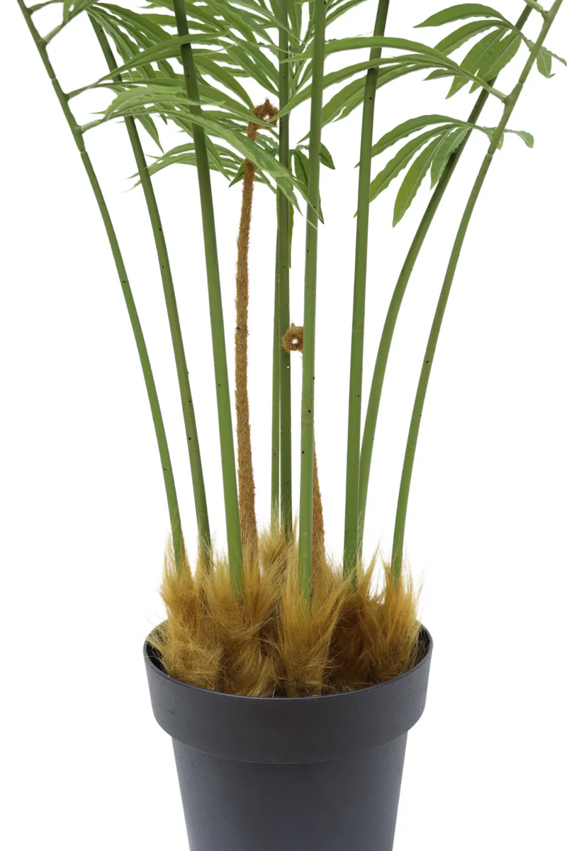 Palmfarn Kunstpflanze 160cm
