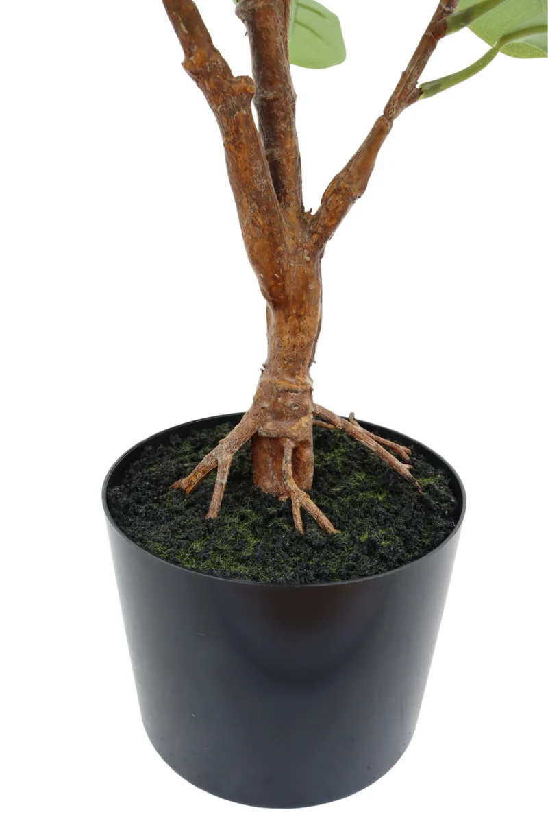 Ficus Kunstpflanze 80cm