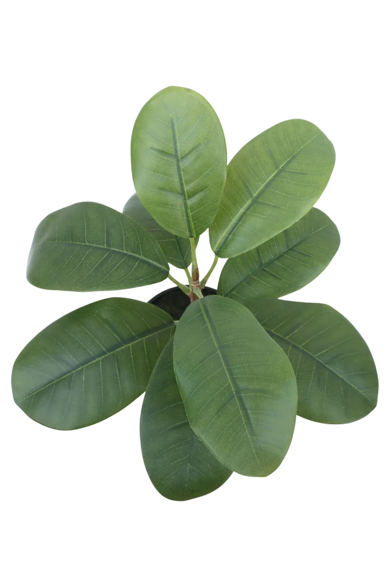 Ficus Kunstpflanze 35cm
