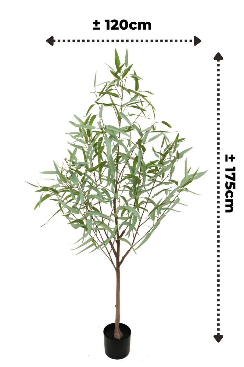 Eukalyptus Kunstpflanze 2 175cm