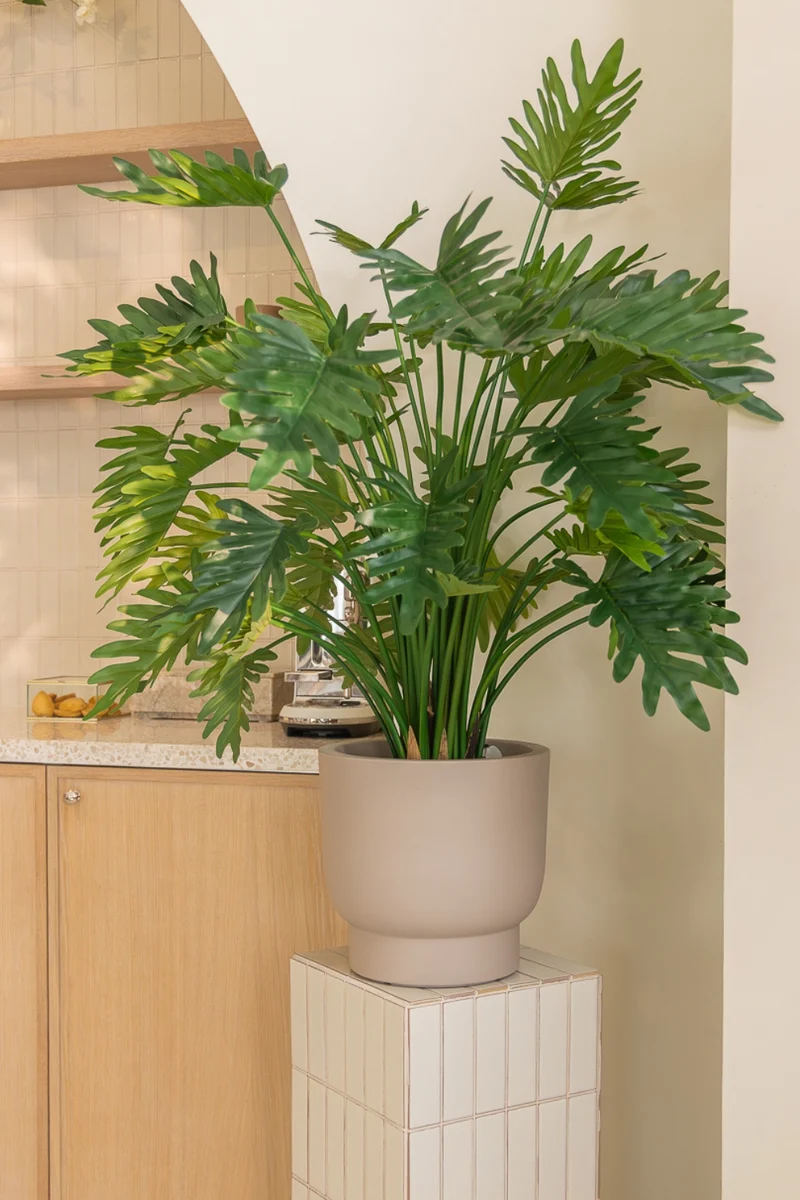 Philodendron Kunstpflanze 100cm