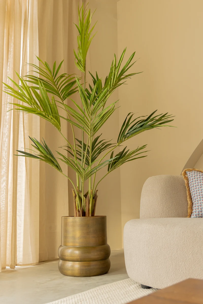 Künstliche palme Kentia 180cm