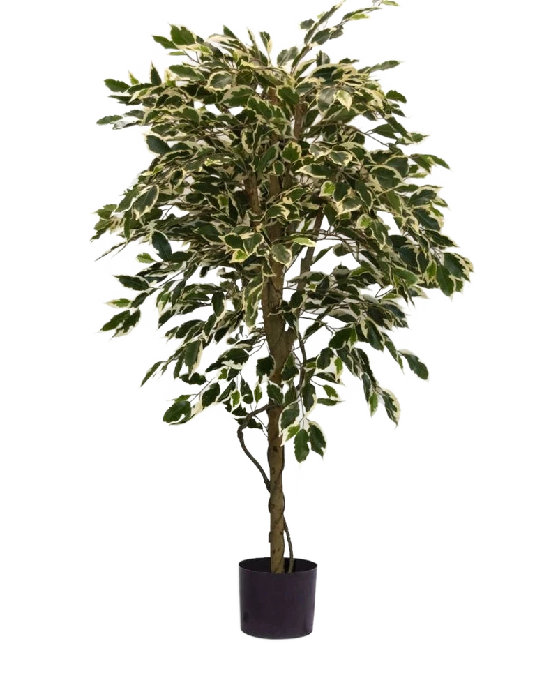 Künstliche Pflanze Ficus Fur 150 cm