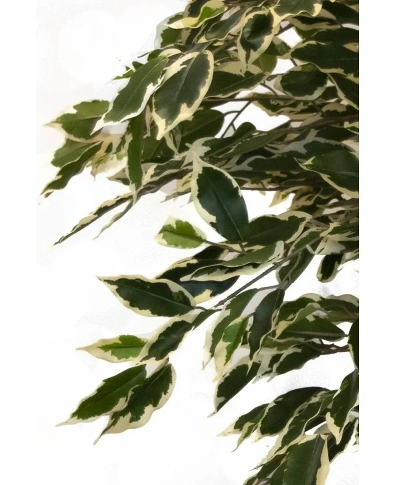 Künstliche Pflanze Ficus Fur 150 cm