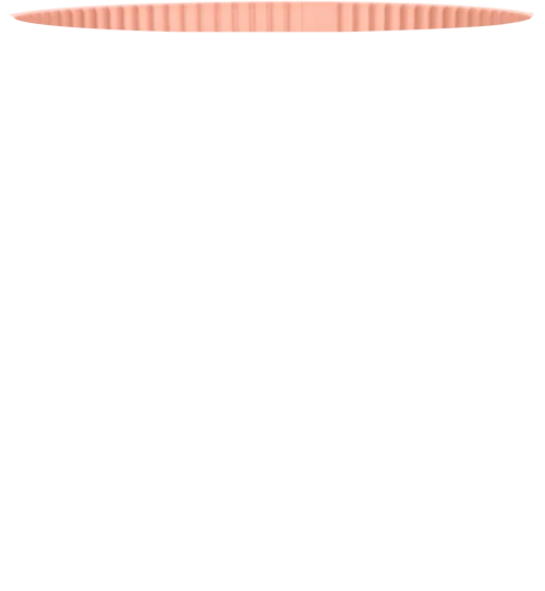 Vibes (16cm)
