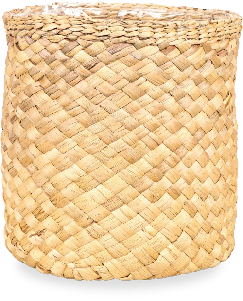 Albury (26cm)