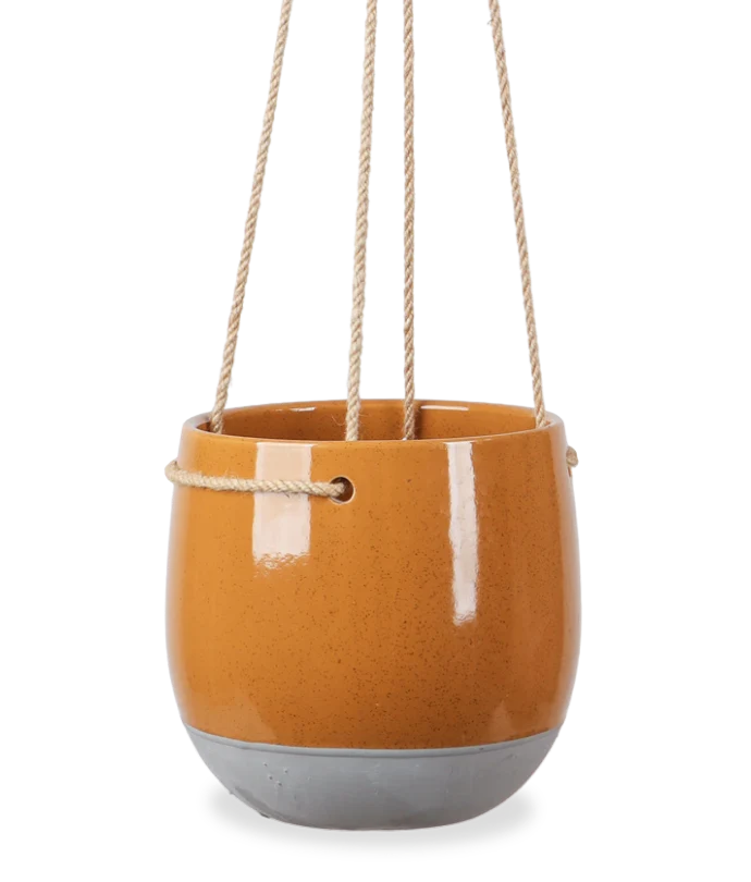 Resa (18.5cm)