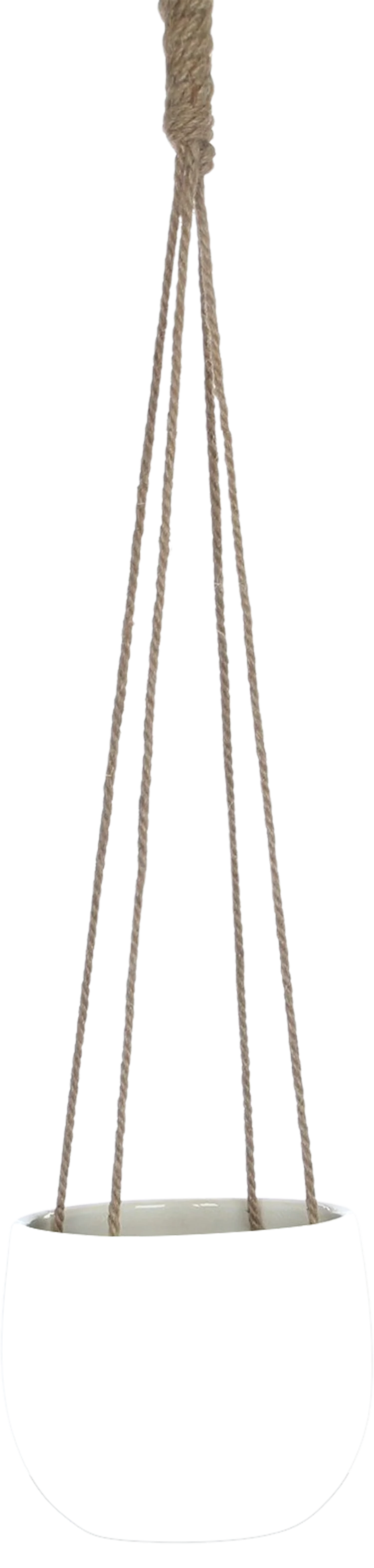 Resa (18.5cm)