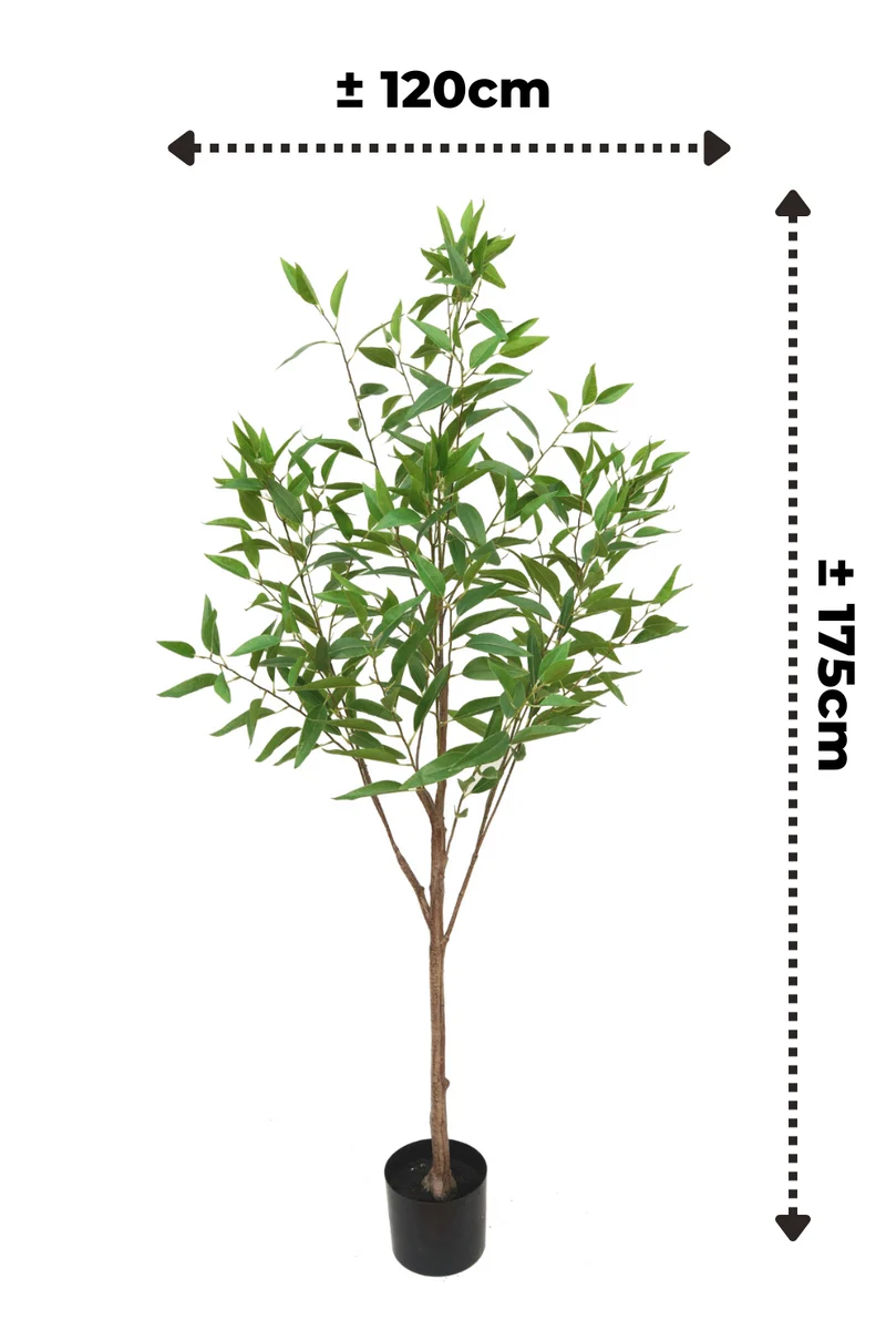 Eukalyptus Kunstpflanze 1 175cm