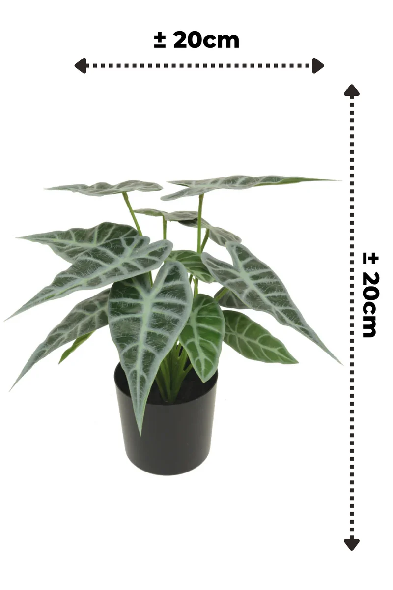Caladium Kunstpflanze 20cm