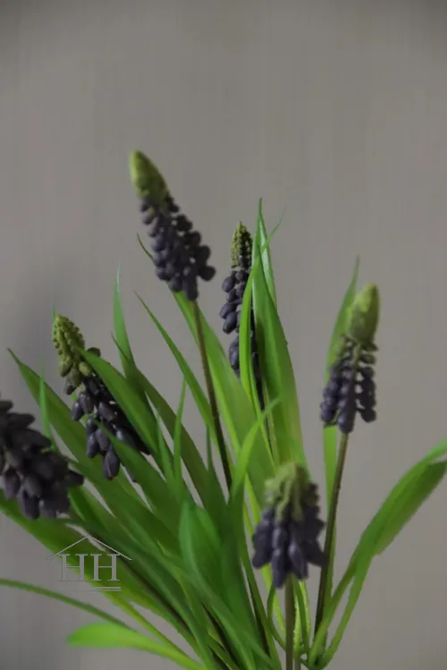 Kunst aubergine paarse druifjes bosje