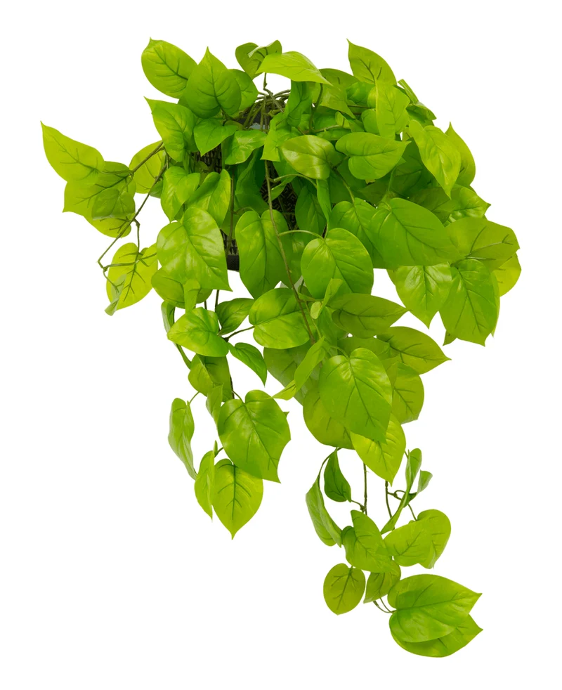 Kunst Pothos Struik Deluxe 90cm