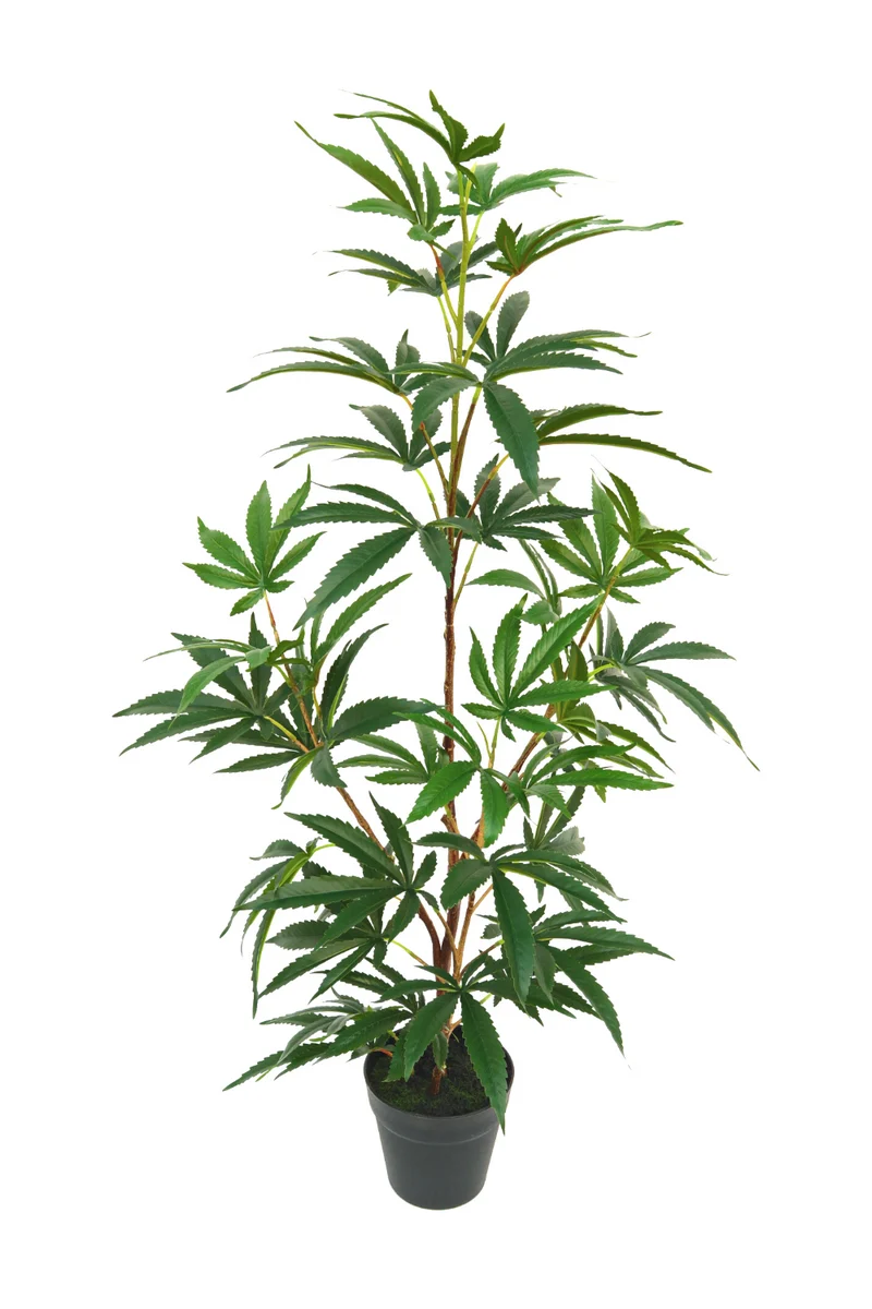 Aralia Kunstpflanze 100cm