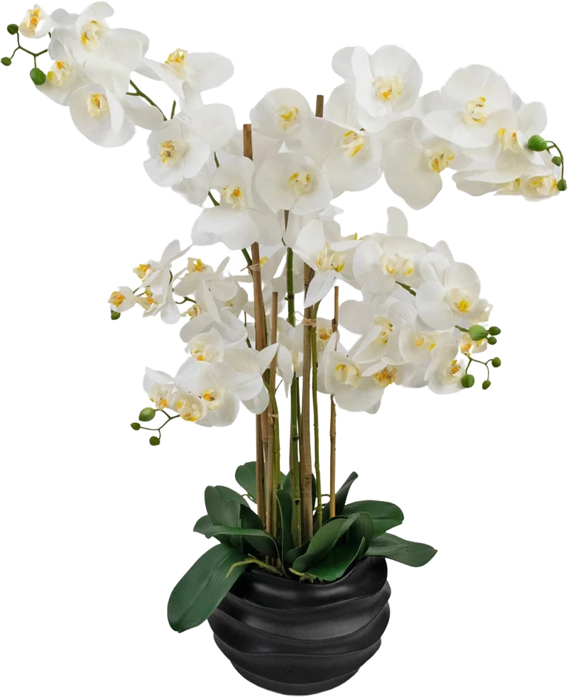 Künstliche Orchidee Real Touch 85 cm weiß