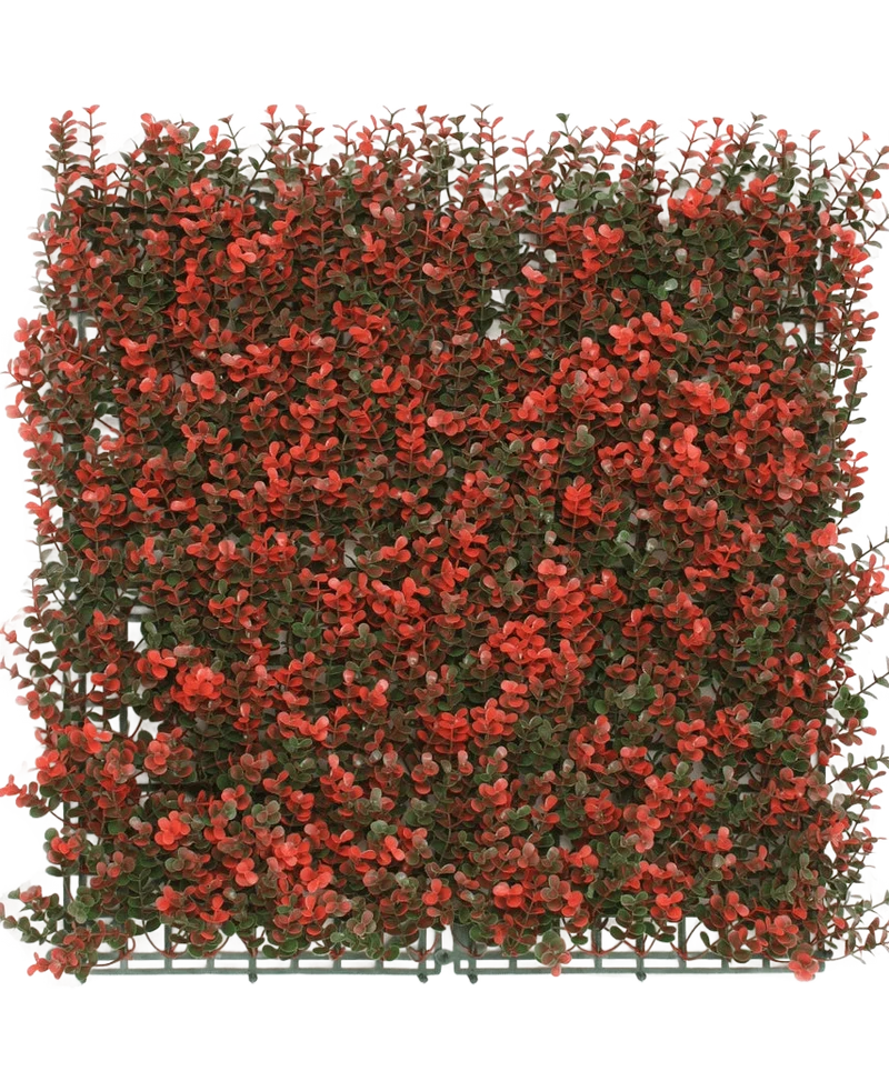 Kunstpflanzen Wand Buxus rot 50x50 cm UV