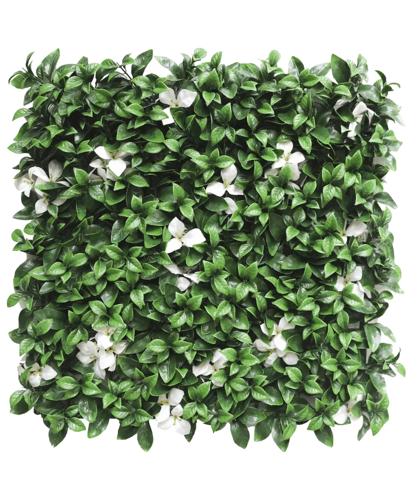 Kunstpflanzen Wand Gardenia mit weißer Blüte 50x50 cm UV