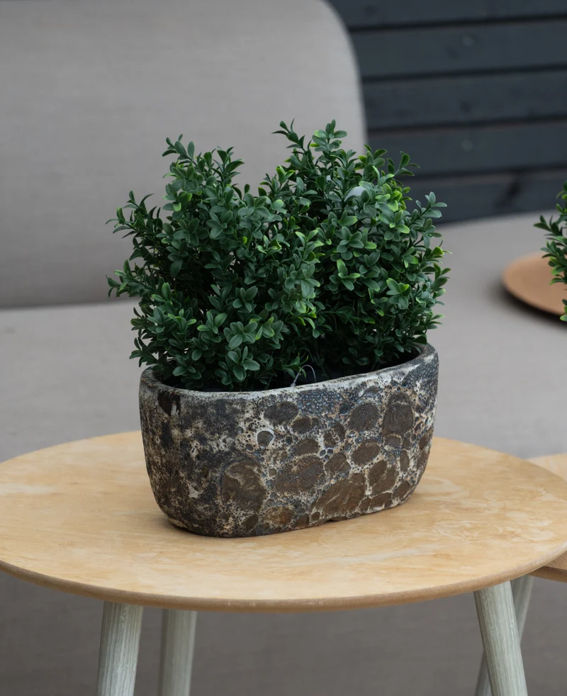Kunstplant Buxus Romeinse stijl UV 36cm