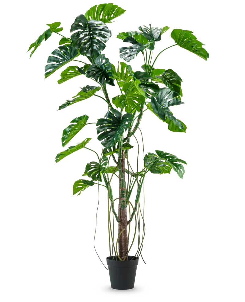 Künstliche Pflanze Monstera 240 cm