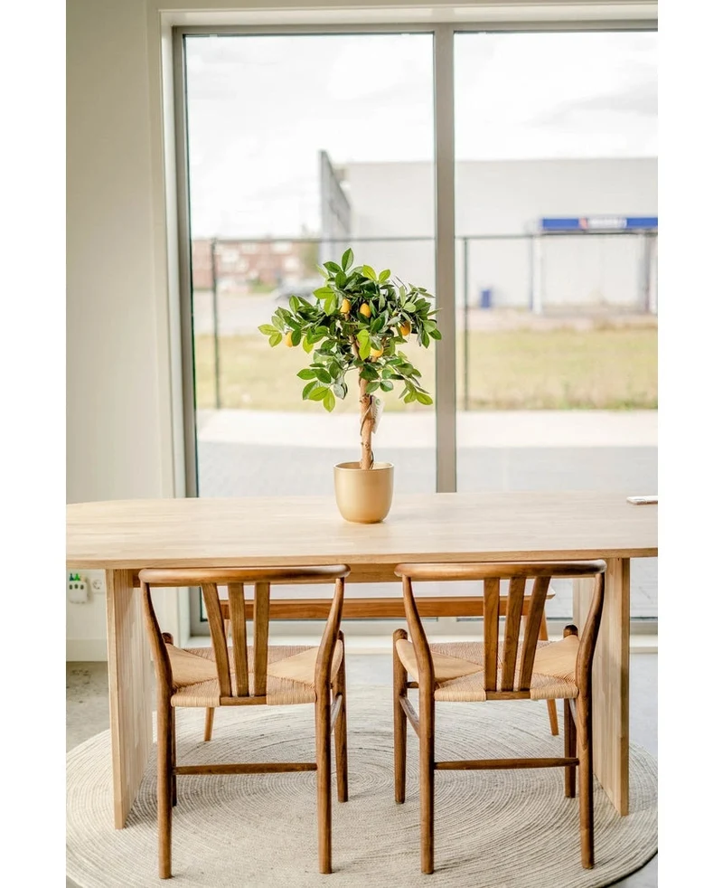 Künstlicher Zitronenbaum 75 cm