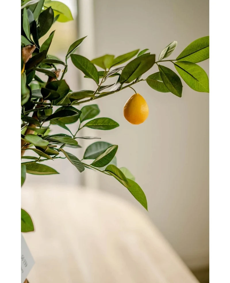 Künstlicher Zitronenbaum 75 cm