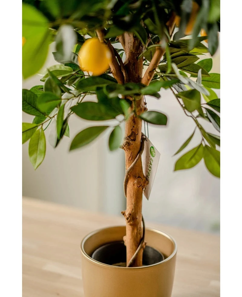 Künstlicher Zitronenbaum 75 cm