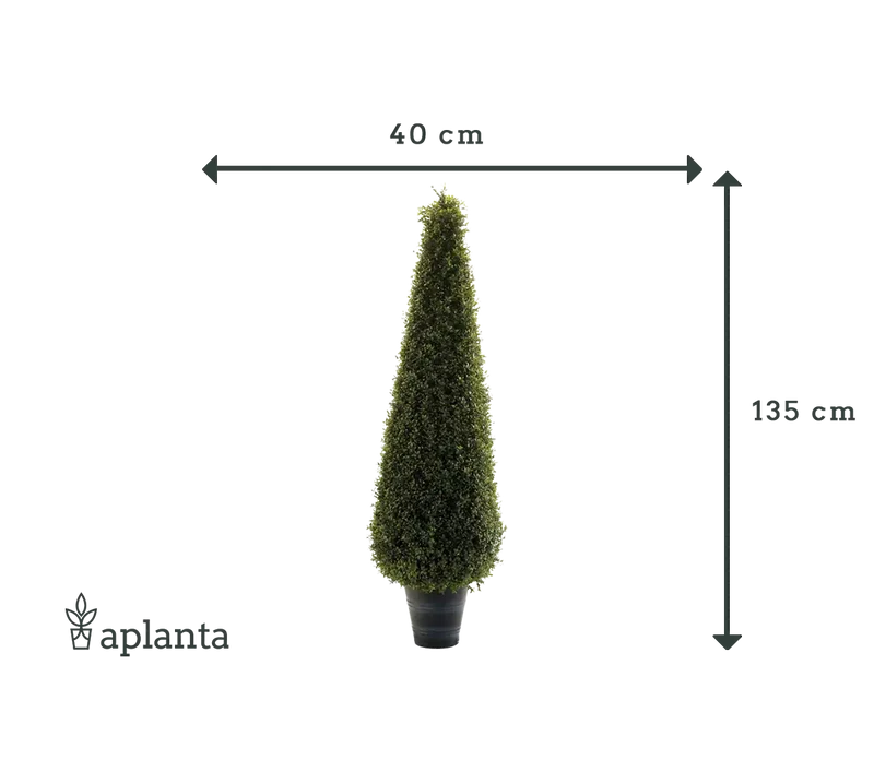 Künstliche Buchsbaumpyramide - Lucy | 135 cm