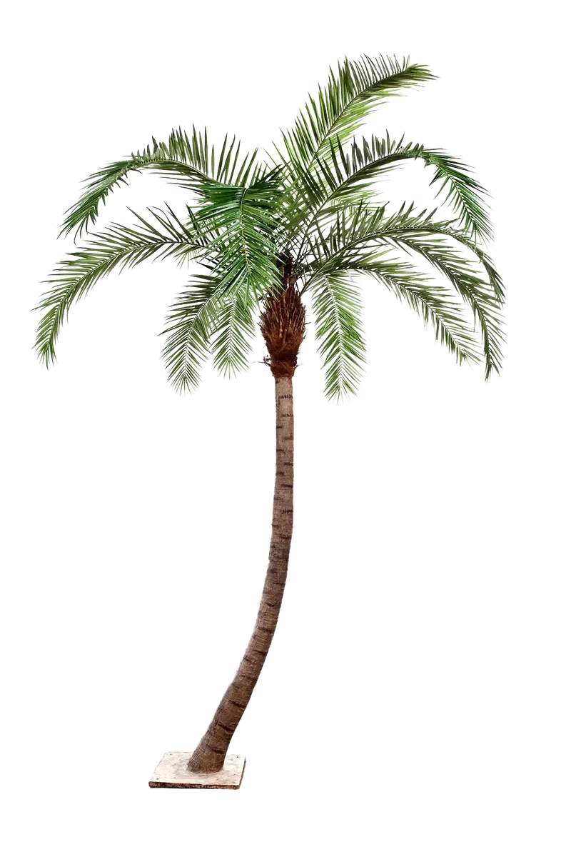Künstliche Phoenixpalme - Simon | 360 cm