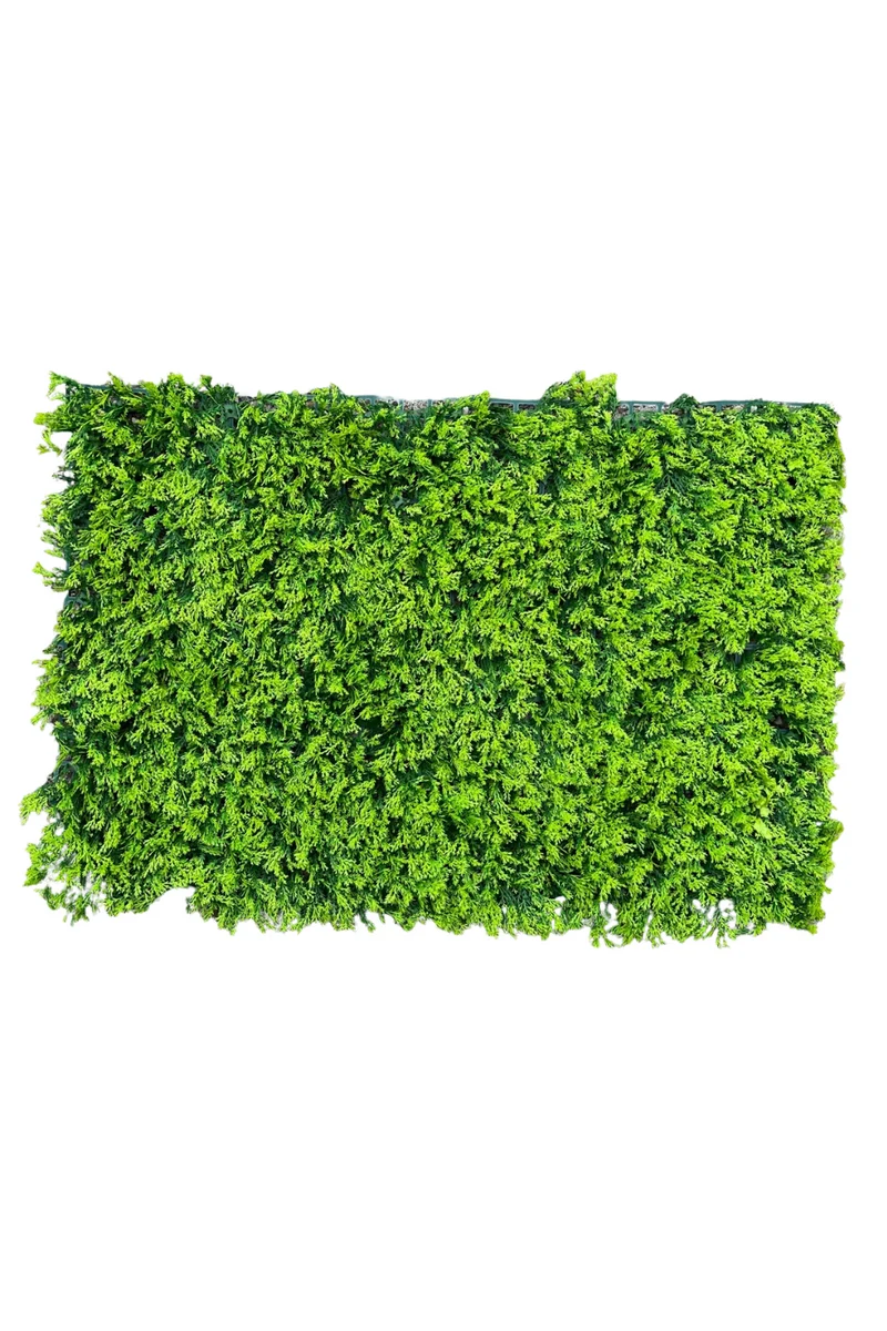 Moos Kunsthecke Wandpanel 60x40cm UV