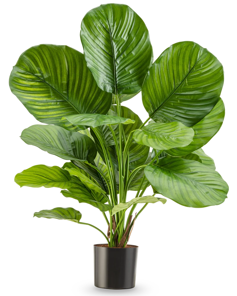 Künstliche Pflanze Calathea 72 cm