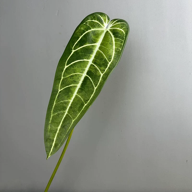 2 Stück Anthurium clarinervium Kunstpflanze, 88 cm Länge, Real-Touch Blätter, für Vasen, Home Decor, Hochzeiten, Einzelhandel