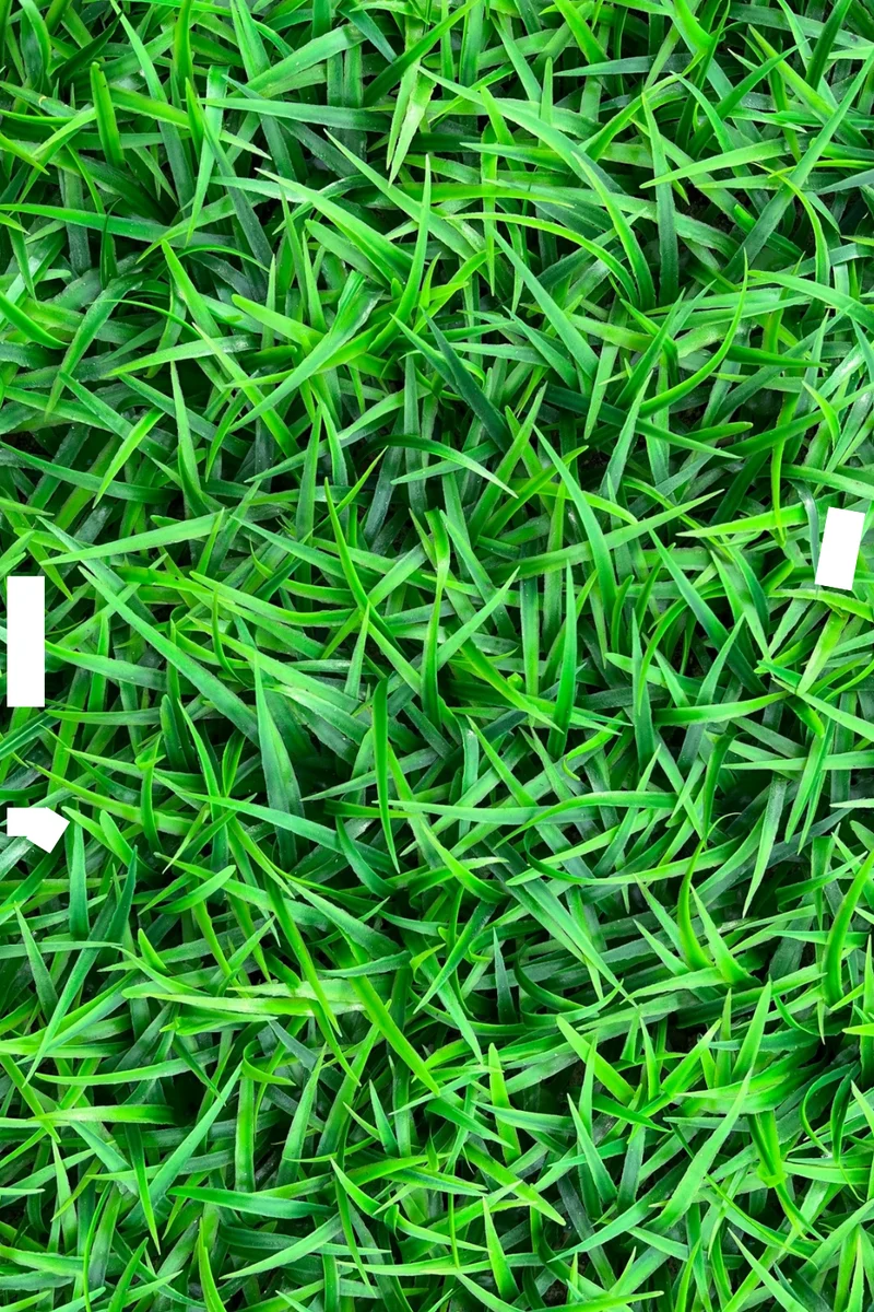 Gras Kunsthecke Wandpanel 60x40cm