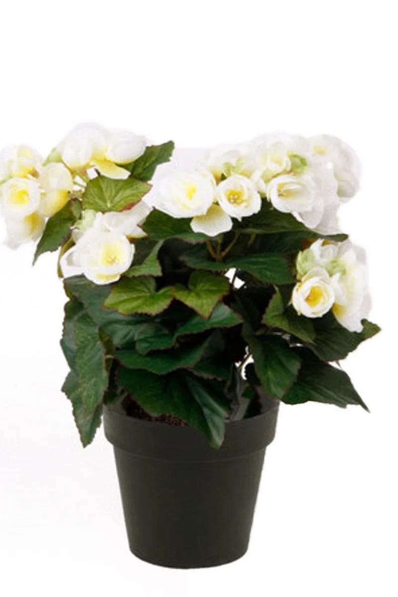 Begonia Kunstpflanze Weiß 30cm