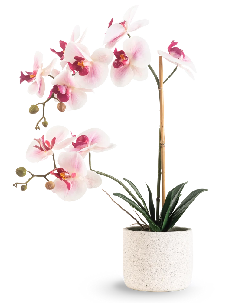Künstliche Orchidee Real Touch 60 cm rosa/weiß