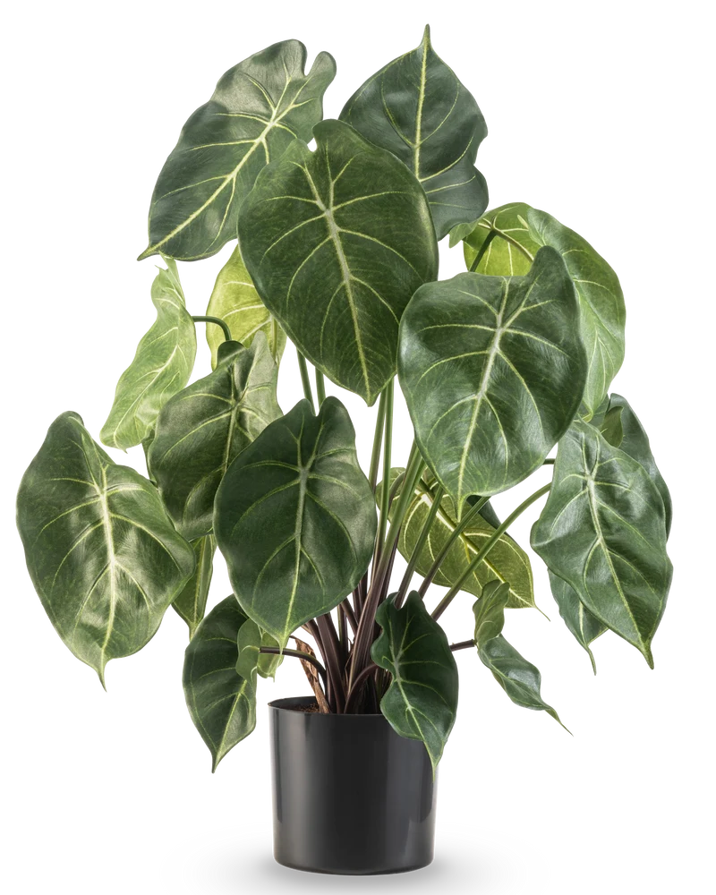 Künstliche Pflanze Syngonium 58 cm
