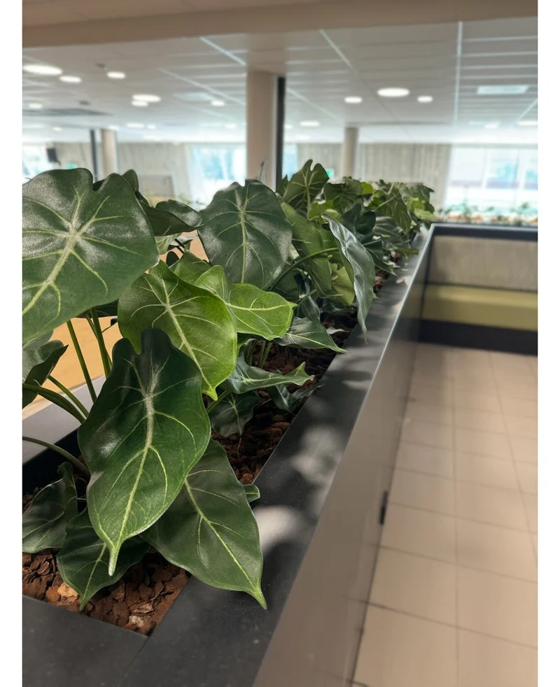 Künstliche Pflanze Syngonium 58 cm