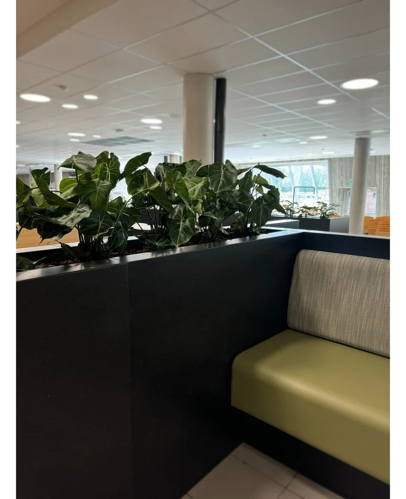 Künstliche Pflanze Syngonium 58 cm
