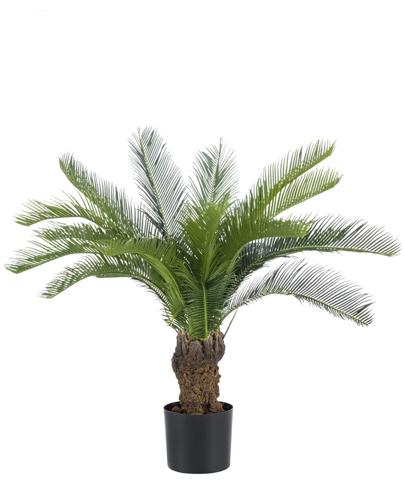 Künstliche Pflanze Cycad-Palme 80 cm