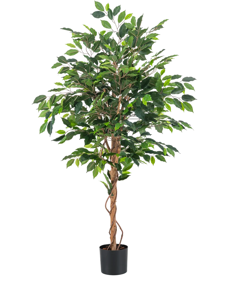 Künstliche Pflanze Ficus Grün 150 cm