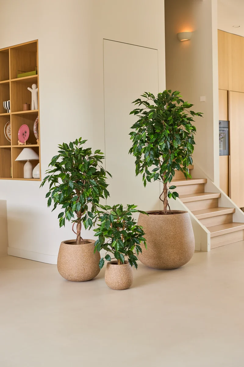 Künstliche Pflanze Ficus Grün 150 cm