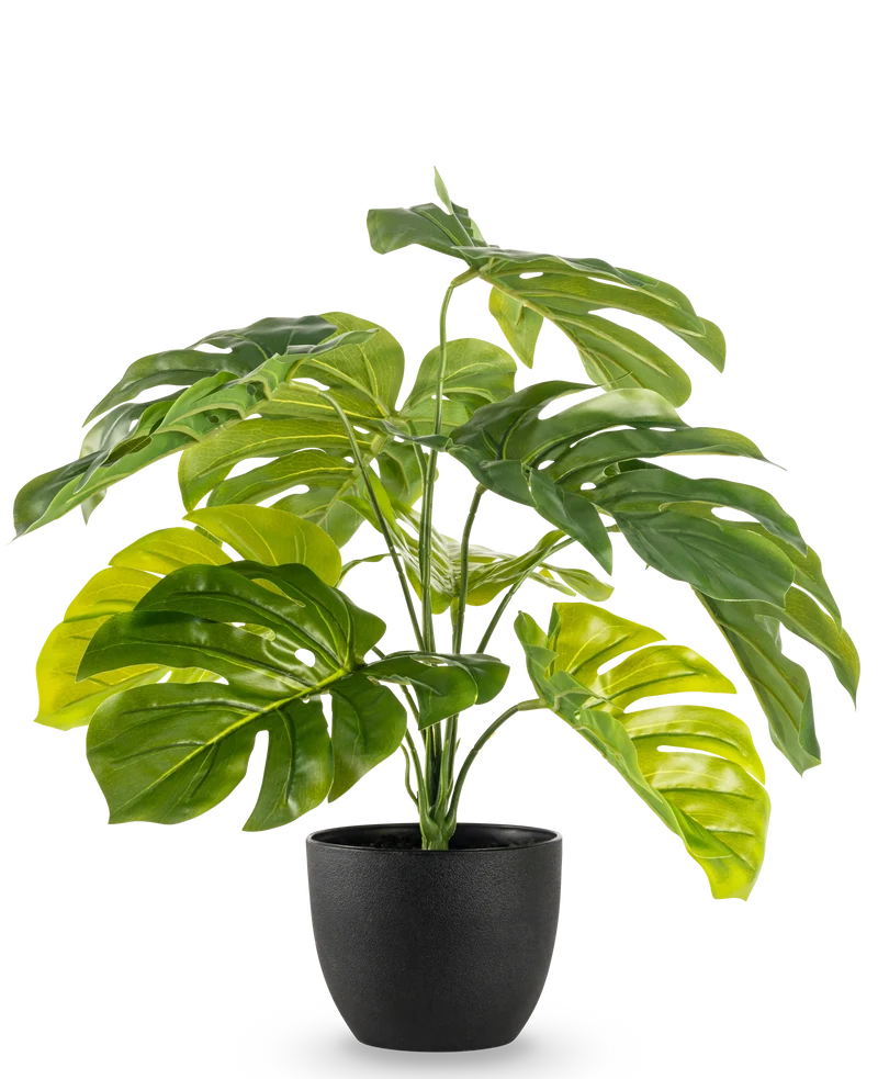 Künstliche Monstera 55 cm in dekorativem Topf schwarz