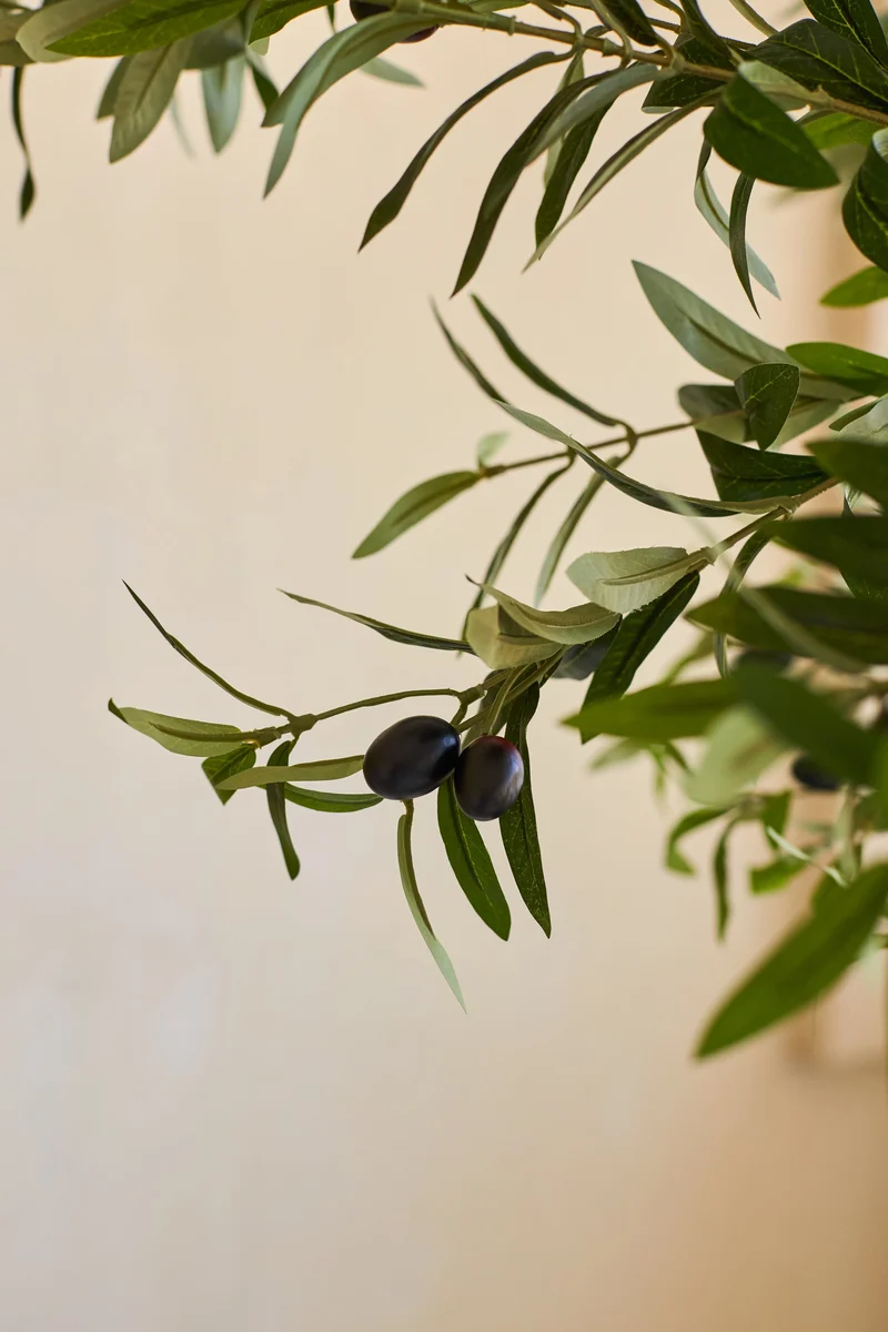 Künstlicher Olivenbaum 200 cm